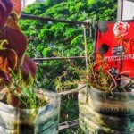 বুলেট কিংবা ভালবাসায় - bookish life review - western thriller bangla