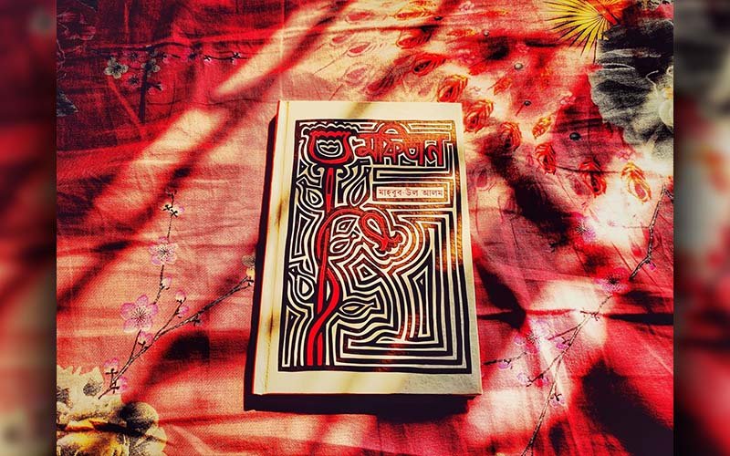 মফিজন - মাহবুব উল আলম - bookishlife